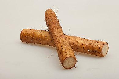 《神领编年史》发售日宣传片公开 游戏将于9月22日推出